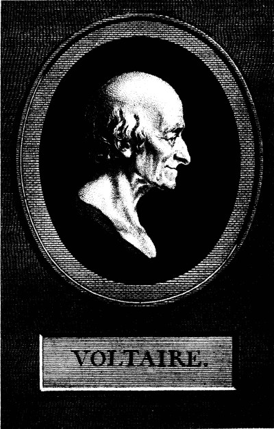 Voltaire Essay