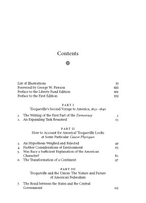 Democracy in america essay